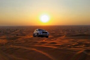 Private Morning Desert Safari Dubai with Dune Bashing & Sandboard - Camel Ride and Camel Farm Time: Slow Beats the Speed