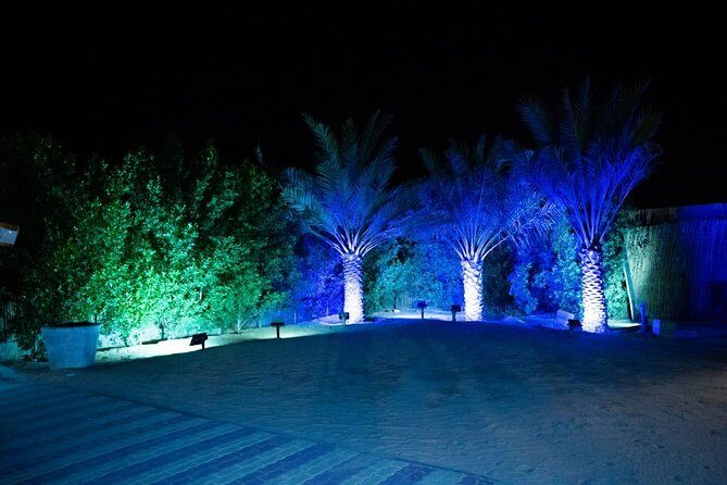 Standard Desert Safari, camel ride, BBQ Dinner, Belly Dance Show, Pick & Drop - Desert Safari Value: One Ticket, Several Big Moments