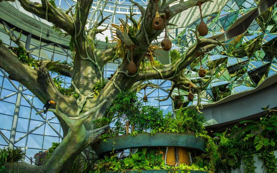 The Green Planet - Dubai's Unique Indoor Rainforest - Key Highlights at a Glance
