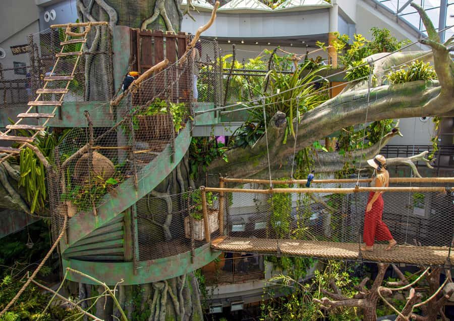 The Green Planet - Dubai's Unique Indoor Rainforest - Green Planet in One Sentence: Why This Indoor Rainforest Feels Real
