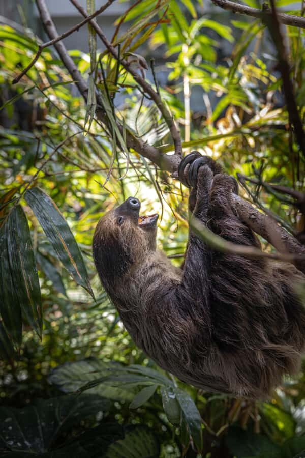 The Green Planet - Dubai's Unique Indoor Rainforest - How Long to Plan: Walkthrough Time vs. Staying Power