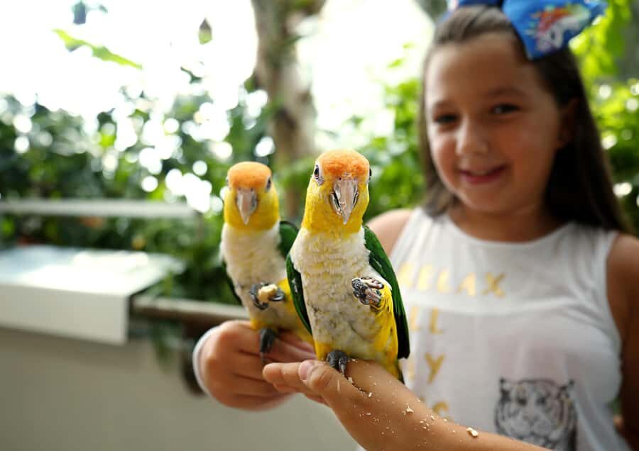 The Green Planet - Dubai's Unique Indoor Rainforest - Your Tropical Route: Bat Cave, Birds, and the Bio-Dome Levels