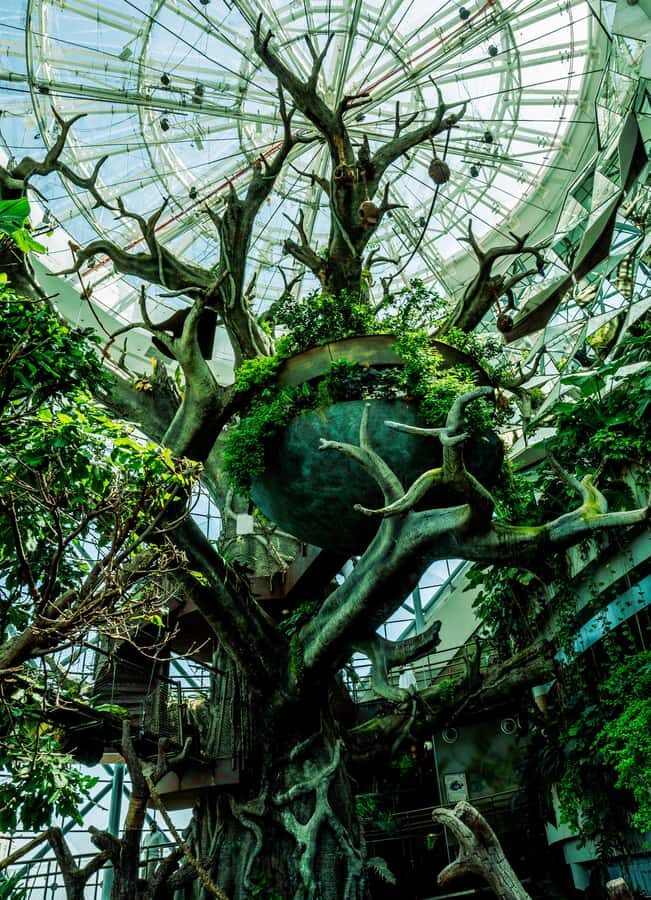 The Green Planet - Dubai's Unique Indoor Rainforest - The Indoor Storm and Why It Matters More Than You’d Think