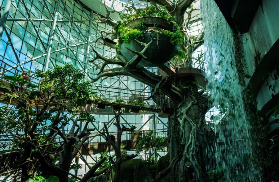 The Green Planet - Dubai's Unique Indoor Rainforest - Kids, Soft Play, and Animal Respect: What Works Best